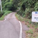 비슬산둘레길 7구간 | 비슬산 둘레길 7구간