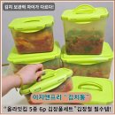 김장 김치통 이지앤프리 올라잇킵 5종 6p 김장풀세트 실사용후기
