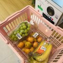 심야과수원