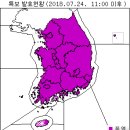 완도23호 네이버블로그