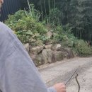 10월방생 동영상 이미지