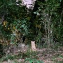 연꽃세상경로식당 | 봉은사 후기 , 서울 강남 가볼만한 곳 도심 속 사찰