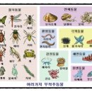 四字成語 총정리 ㅁ 260 무척와집~무택등화산