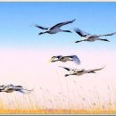 힐링건강체조 이미지