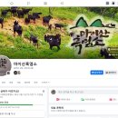 마이산흑염소 이미지