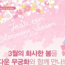 무궁화블라썸