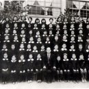 가야초등학교 이미지