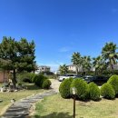 솔라티펜션 이미지