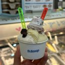 동탄카림상가 수제 젤라또 디스쿱 내돈내산 추천 후기