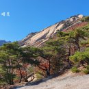 윗사기막 이미지