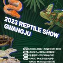더렙타일파충류샵 - 서구 화정로179번길 60 | 더렙타일파충류샵
