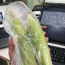 코리아스픽스 (주)