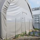 네네치킨개신점 이미지