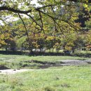 미원6리 이미지