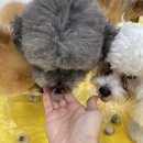 송산유치원 이미지