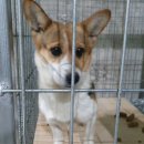 보경 동물병원 이미지