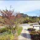 읍내리 마을회관 이미지