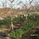 송평농장 이미지