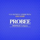 (주)루루이노스