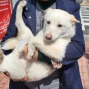 아이파크동물병원 이미지