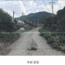 (주)배나무골 이미지