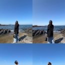 드래곤디퓨전 가방 후기｜스몰 브라운 & 로잔나 착샷 (우도, 안도르카페, 공산성, 군산)