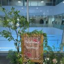 우리은행 | 우리은행 웨딩홀 동양캐터링 추천/후기 하객 만족도 높은 이유 뷔페·접근성 총정리