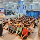 용인대 백호 태권도장 이미지