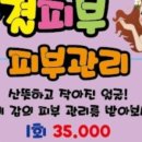 꽃결