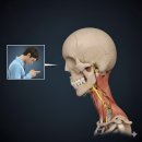 뒷골1 | 뒷골이 당기고 뒤통수가 찌릿해요 [미사 만성두통 주민분들 주목!]