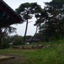 사랑이 머무는 둥지 이미지