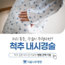 두려움을 제거하는 가장 빠른 방법 | 척추 수술이 두렵다면? 척추내시경술로 알아보는 척추 질환 치료와 병원 선택 기준