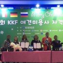 순도리네애견 네이버블로그