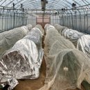 농가의 겨울 이미지