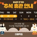 N 피티짐 이미지