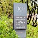 워커힐로 | 워커힐 피자힐 예약, 메뉴 내돈내산 후기