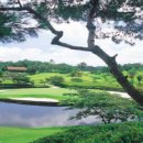 사람들의우정 이미지