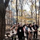 도깨비시장터 | 경기도 의왕 갈만한곳 당일치기 코스 보고 놀고 힐링하고