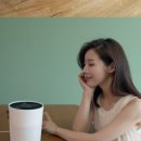 브런트 이미지
