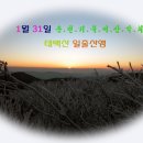 1월 31일 태백산의 투명한 눈꽃과 아름다운 일출을 보러..., 떠나봅니다. 태백산 일출산행 이미지