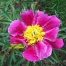 윤성농장 이미지