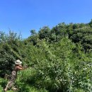 박상희 농장 이미지