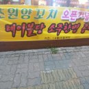 초원양꼬치각리 이미지