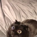 세모메디칼 이미지