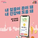 (주)포인트헬스케어 이미지