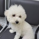 신갈중학교 이미지