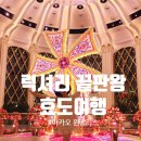 효도리 세계 여행 네이버블로그