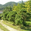 판교농장 이미지