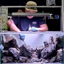 by.피다 | 2026 제3회 관상어 파충류 박람회 Aquascape Live Setting 후기