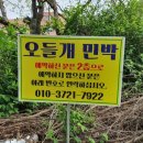 오들개민박 이미지